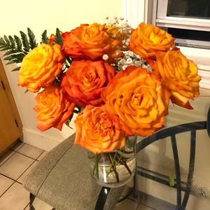 Meet your Posher, Amy